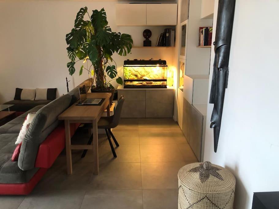 Superbe 3 Pieces Vue Mer A 2 Mn De La Plage, Terrasse, Piscine Et Parking Prive ! Apartment *