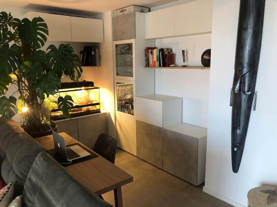 Superbe 3 Pieces Vue Mer A 2 Mn De La Plage, Terrasse, Piscine Et Parking Prive ! Nice